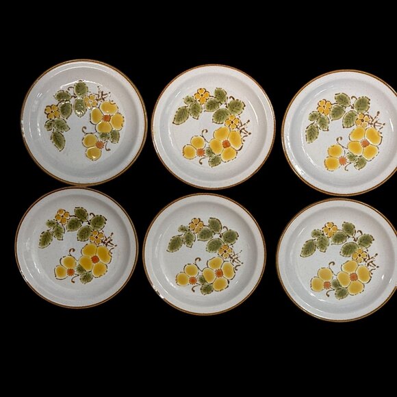 6 International China Stoneybrook Wildflower Salad Plates 7.5" Stoneware Japan